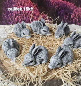 Zajíc ležící