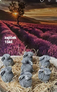 Zajíc sedící