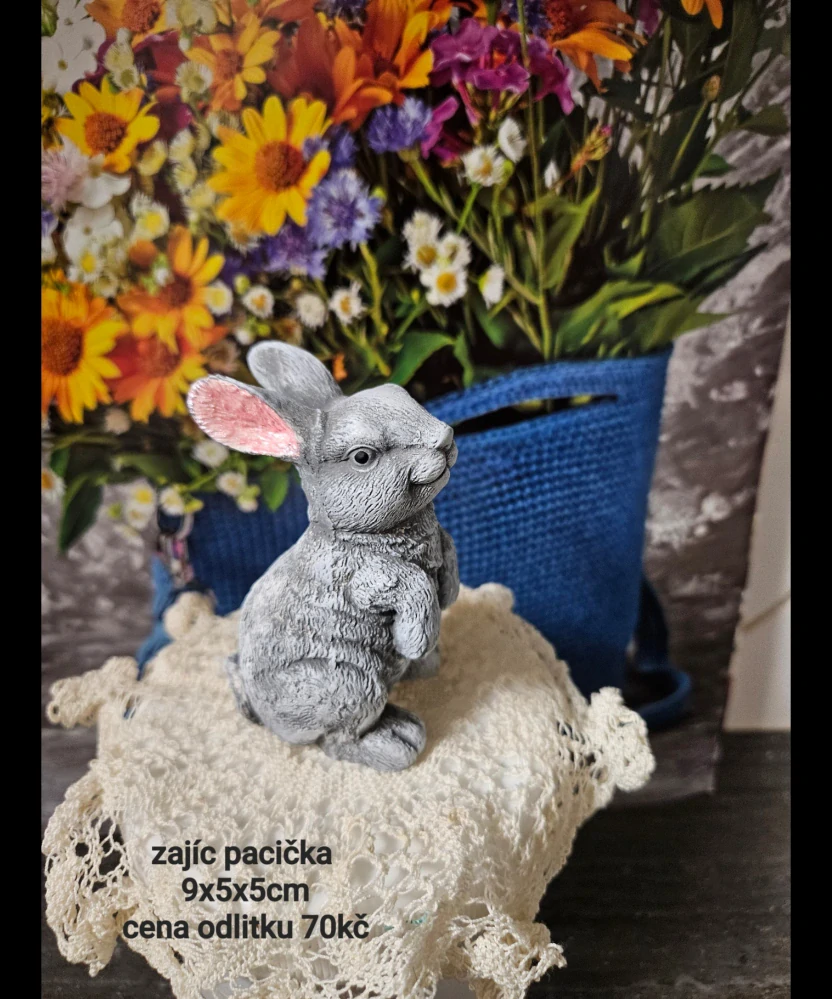Zajíc Pacička